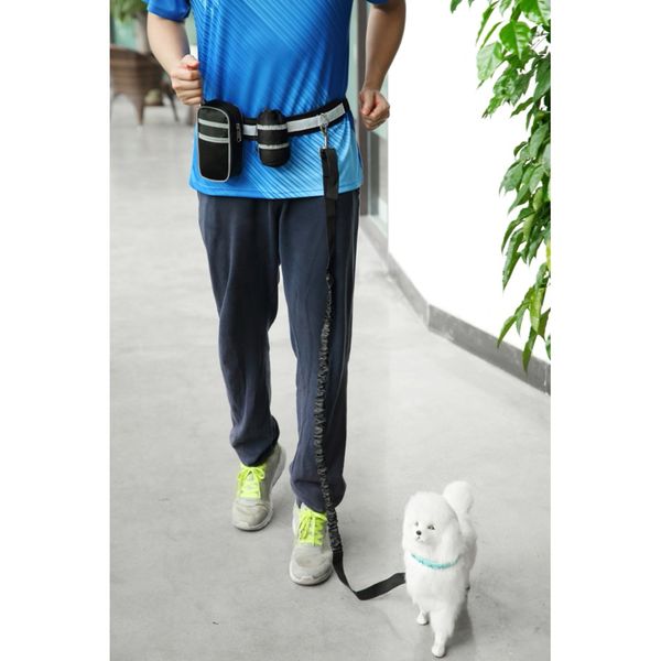 hands dog leash retractable dog leash reflective waist belt with bottle holder waist bag adjustable for large and small 
hands dog leash retractable dog leash reflective waist belt with bottle holder waist bag adjustable for large and small