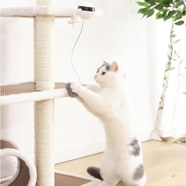 electric motion cat puzzle toy interactive flutter rotating lifting balls replaceable plush ball pet kitten teaser supplies
electric motion cat puzzle toy interactive flutter rotating lifting balls replaceable plush ball pet kitten teaser supplies