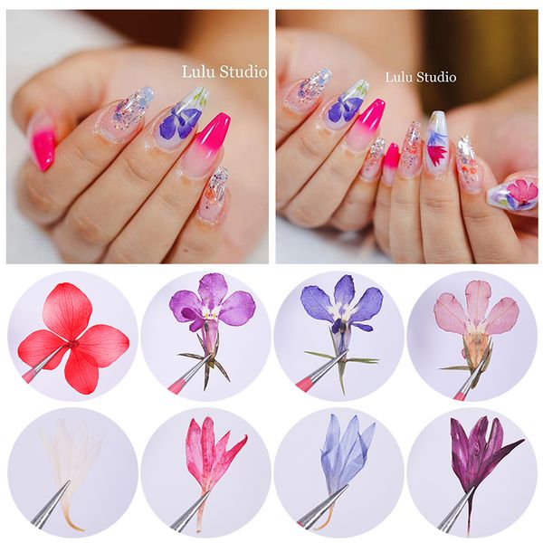 1 bag dried flowers nail sticker natural 3d dry hydrangea flower nail art decoration beauty for nails design purple pink colors, Black
1 bag dried flowers nail sticker natural 3d dry hydrangea flower nail art decoration beauty for nails design purple pink colors, Black