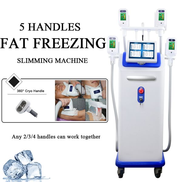 cryolipolysis машина профессиональный жир замораживания тела для похудения потеря веса оборудование для красоты с 5 cyro брызговики целлюлит
cryolipolysis машина профессиональный жир замораживания тела для похудения потеря веса оборудование для красоты с 5 cyro брызговики целлюлит