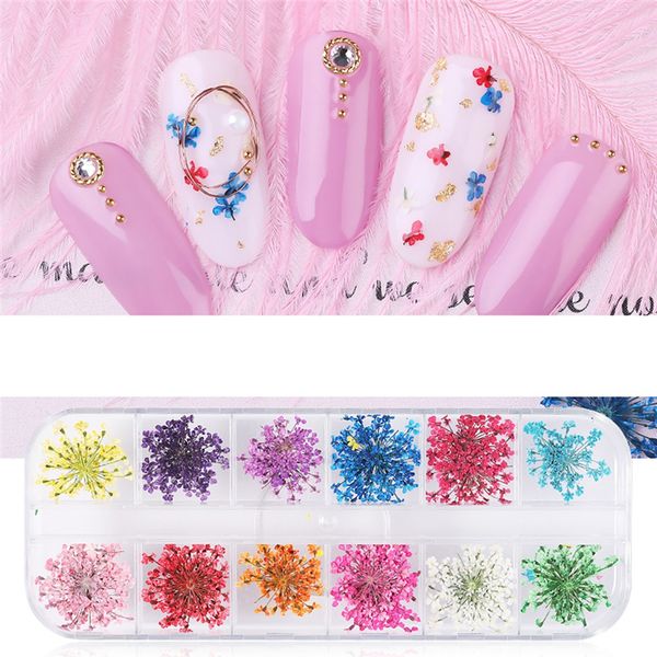 nail art mixed colors nail plants 3d dried flowers dry flower star sunflower small dry flower jewelry uv gel polish manicure, Silver;gold
nail art mixed colors nail plants 3d dried flowers dry flower star sunflower small dry flower jewelry uv gel polish manicure, Silver;gold