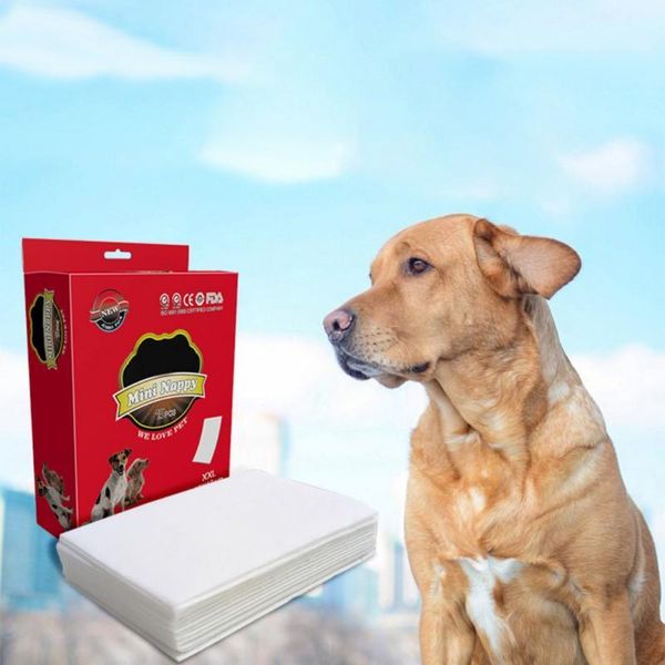 10 шт. лот супер-абсорбент женская собака одноразовые съемные подгузники колодки предотвращения утечек домашних чистящих средств
10 шт. лот супер-абсорбент женская собака одноразовые съемные подгузники колодки предотвращения утечек домашних чистящих средств