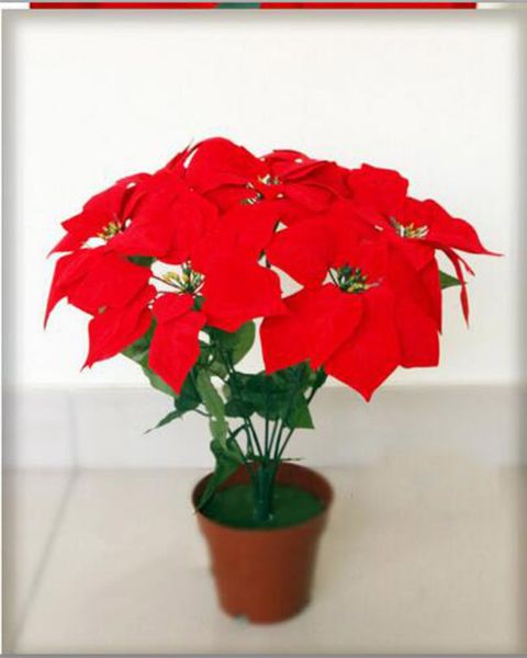 eco friendly christmas poinsettia silk decorative flowers christmas flowers 19 inches holiday home decors christmas supplies
eco friendly christmas poinsettia silk decorative flowers christmas flowers 19 inches holiday home decors christmas supplies