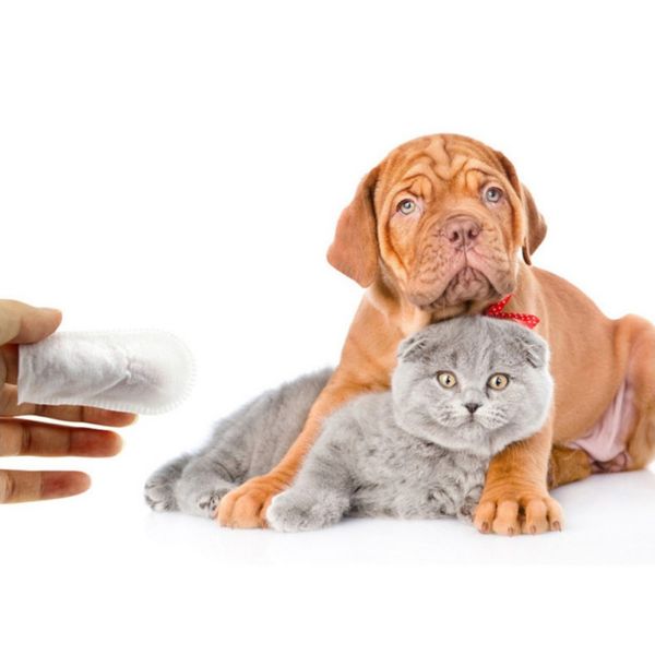 50pc собака зуб finger салфетки полуперчатки pet здоровые товары уход за полостью рта для кошек gentle собак dental wipes зоотоваров
50pc собака зуб finger салфетки полуперчатки pet здоровые товары уход за полостью рта для кошек gentle собак dental wipes зоотоваров