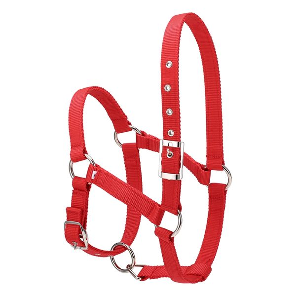 adjustable horse riding equipment halter horse bridle with bit and rein belt for horse equestrian accessories thicken large
adjustable horse riding equipment halter horse bridle with bit and rein belt for horse equestrian accessories thicken large