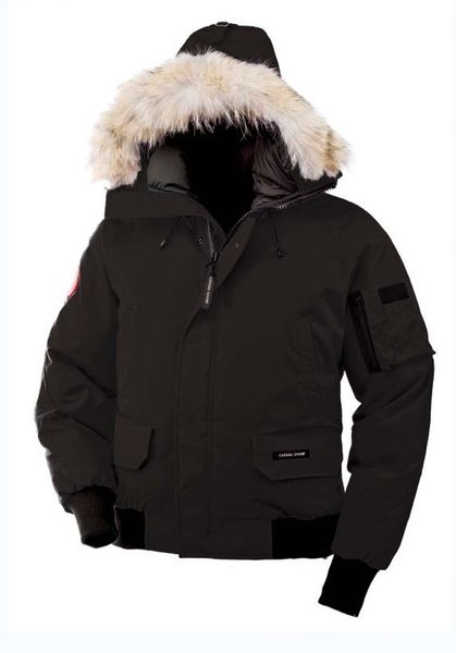 Down e Parkas fengbao 
Down e Parkas fengbao