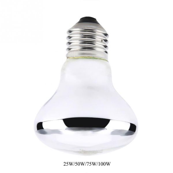 220-230v night heat light lamp bulb for bird snake reptile amphibian heating lamp high quality
220-230v night heat light lamp bulb for bird snake reptile amphibian heating lamp high quality