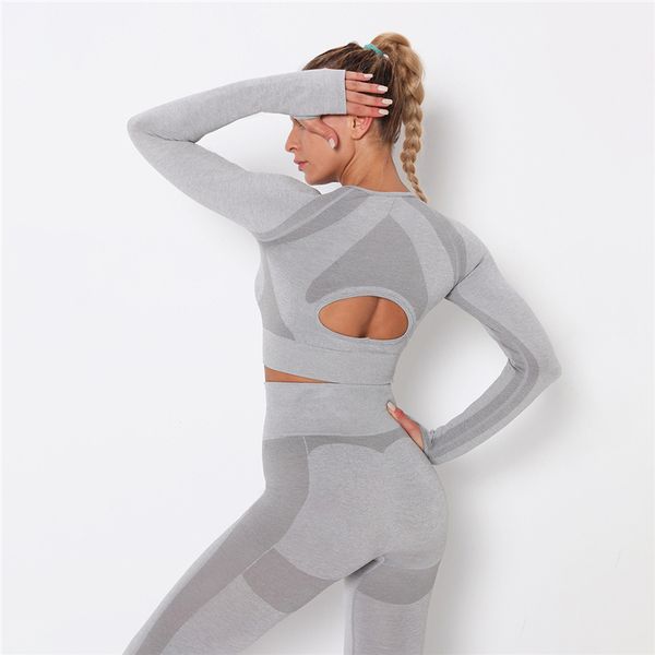 seamless yoga set women gray patchwork sports long sleeve open back crop shirts workout gym sportwear fitness clothes, White;red
seamless yoga set women gray patchwork sports long sleeve open back crop shirts workout gym sportwear fitness clothes, White;red