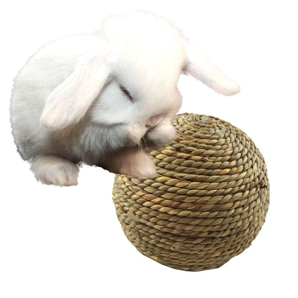 солома rattan бал игрушки для мелких животных pet chew игрушки птицы попугай игра игрушка diy аксессуары rabbit foot соломы бал 6cm small an
солома rattan бал игрушки для мелких животных pet chew игрушки птицы попугай игра игрушка diy аксессуары rabbit foot соломы бал 6cm small an