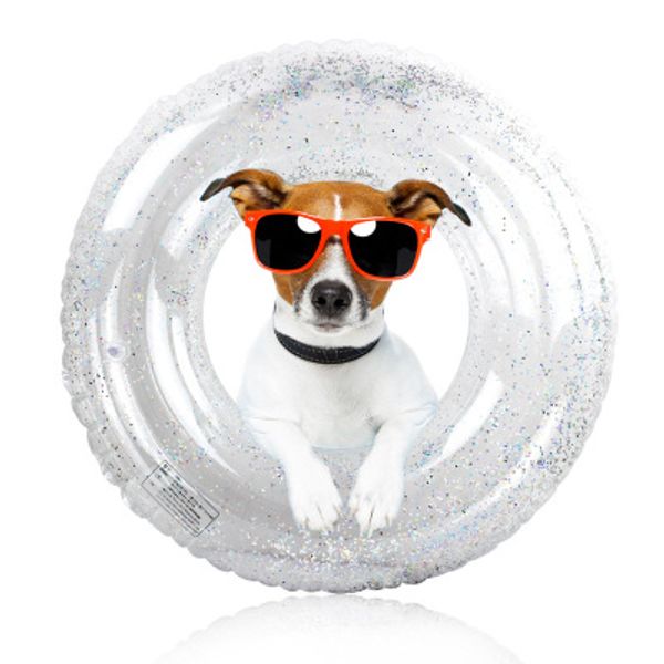 60cm 50pcs/lot new sequins swim ring inflatable pool float for kids and adults by fast shipping water toy sp2.0
60cm 50pcs/lot new sequins swim ring inflatable pool float for kids and adults by fast shipping water toy sp2.0