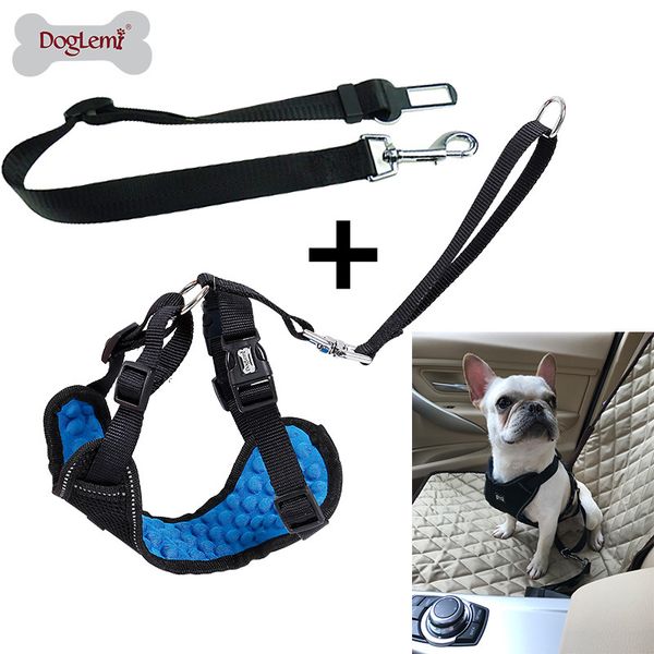 new designer pet dog accessories 2 pieces car seat belt dog safety tethered dogs in car professional explosion-proof red dog strap kit
new designer pet dog accessories 2 pieces car seat belt dog safety tethered dogs in car professional explosion-proof red dog strap kit