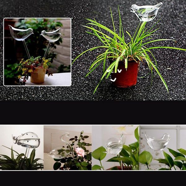 11*5cm glass plant flower water feeder glass water feeder bird shaped cute convenient clear
11*5cm glass plant flower water feeder glass water feeder bird shaped cute convenient clear