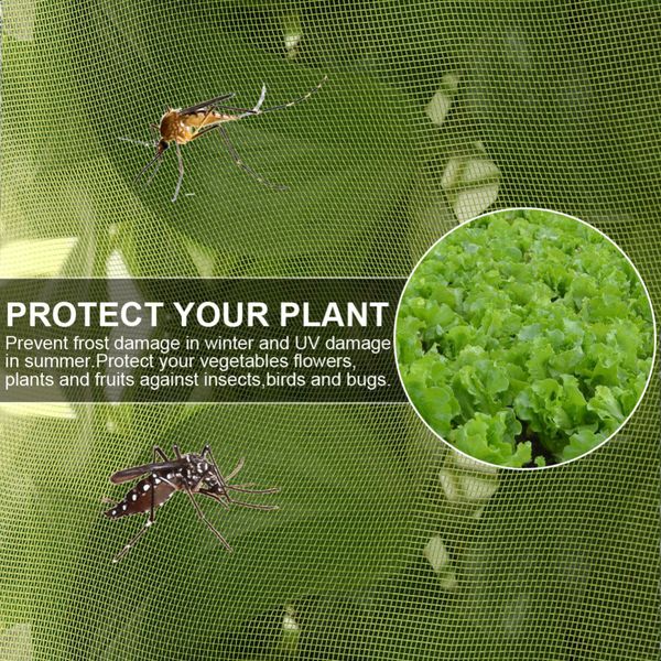 1pc plant covers anti-uv insect bugs protection garden netting summer plant netting prevent bird plants mesh
1pc plant covers anti-uv insect bugs protection garden netting summer plant netting prevent bird plants mesh