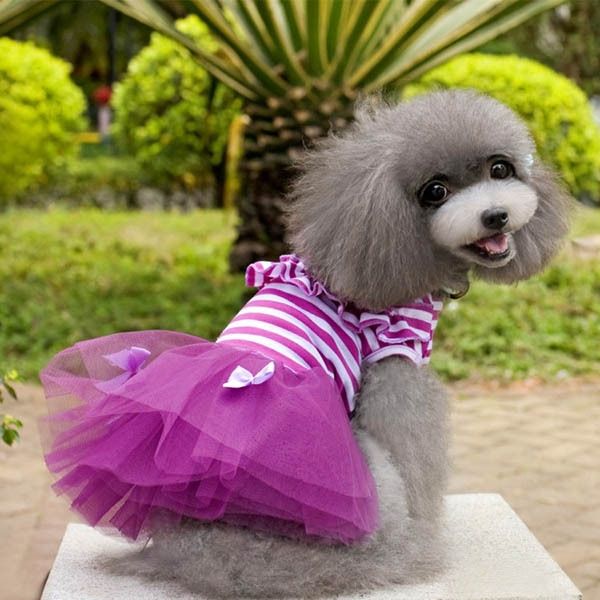 2017 летний новый pet dog cat марлевые пачка юбки платья щенок нашивки bowknot хлопок смешать платье apparel собак одежда
2017 летний новый pet dog cat марлевые пачка юбки платья щенок нашивки bowknot хлопок смешать платье apparel собак одежда