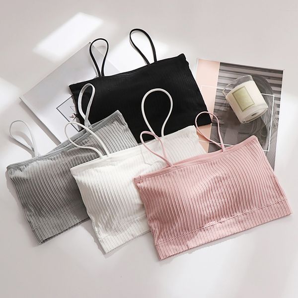 Young Girl Student Bra Top Thin Underwear Training Breathable Bras for Girls Teenage Underwear Kids Bras for Child Teens Summer, Pink
Young Girl Student Bra Top Thin Underwear Training Breathable Bras for Girls Teenage Underwear Kids Bras for Child Teens Summer, Pink