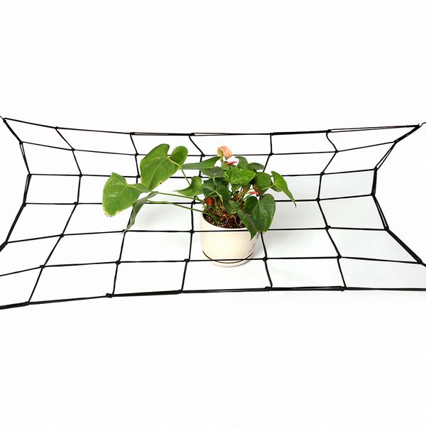 80x80cm садовая шпалера чистая поддержка для овощных вьющихся виноградных растений садовая сетка цветочная сетка поддержки растений
80x80cm садовая шпалера чистая поддержка для овощных вьющихся виноградных растений садовая сетка цветочная сетка поддержки растений