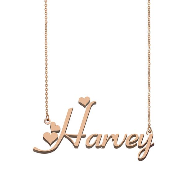 harvey name necklace pendant for women girlfriend gifts custom nameplate children friends jewelry 18k gold plated stainless steel, Silver
harvey name necklace pendant for women girlfriend gifts custom nameplate children friends jewelry 18k gold plated stainless steel, Silver