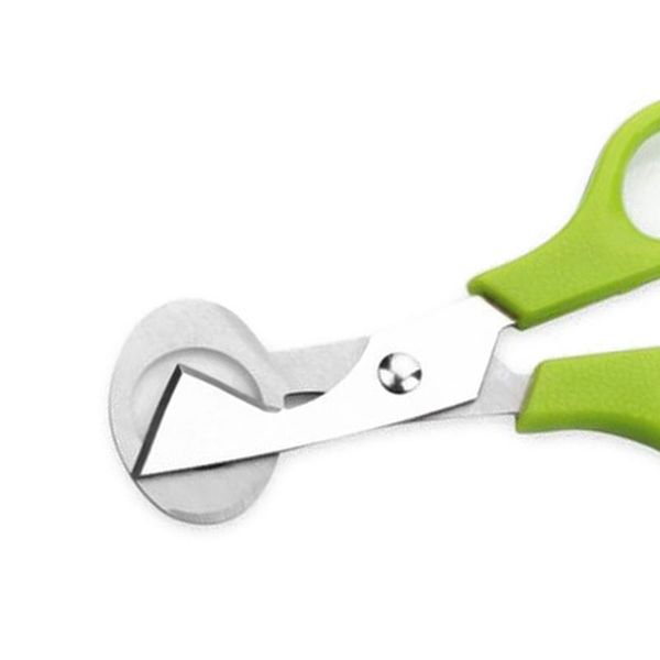 stainless steel dove quail egg shells scissors bird cutter opener egg slicers cigar cutter kitchen tool clipper
stainless steel dove quail egg shells scissors bird cutter opener egg slicers cigar cutter kitchen tool clipper
