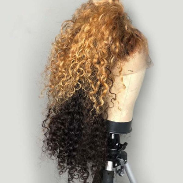paff ombre colored lace front wig curly human hair wigs for women remy brazilian hair with baby hair pre plucked, Black;brown
paff ombre colored lace front wig curly human hair wigs for women remy brazilian hair with baby hair pre plucked, Black;brown