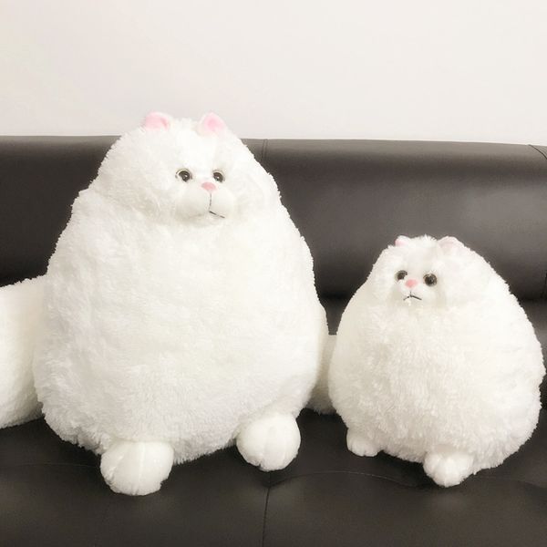 sitting 30cm cute persian cat toy cushion super soft cartoon cat sofa pillow pet play gift
sitting 30cm cute persian cat toy cushion super soft cartoon cat sofa pillow pet play gift