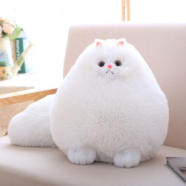 cute plush fluffy cats persian cat toys pembroke pillow soft stuffed animal peluches dolls baby kids toys christmas gifts
cute plush fluffy cats persian cat toys pembroke pillow soft stuffed animal peluches dolls baby kids toys christmas gifts
