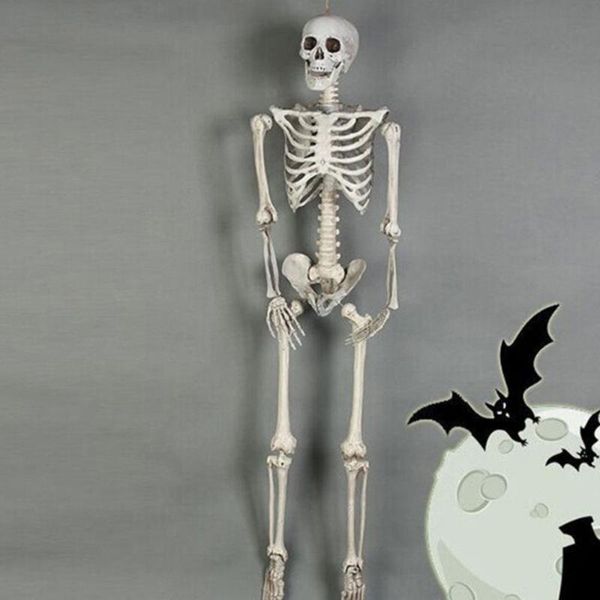plastic home toys prop carnival hanging festival decor halloween decoration halloween party creepy lifelike outdoor supplies
plastic home toys prop carnival hanging festival decor halloween decoration halloween party creepy lifelike outdoor supplies