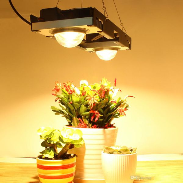 dhl cree cxb3590 cob led grow light full spectrum 200w citizen led plant grow lamp for indoor tent greenhouses hydroponic plant 
dhl cree cxb3590 cob led grow light full spectrum 200w citizen led plant grow lamp for indoor tent greenhouses hydroponic plant