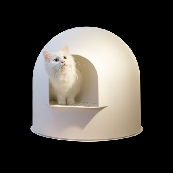 h1 white semi-enclosed litter box single-layer large cat toilet leakproof corridor isolated nontoxic materials dog
h1 white semi-enclosed litter box single-layer large cat toilet leakproof corridor isolated nontoxic materials dog