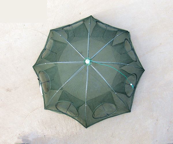 Folded Hexagon 6 8 10 12 16 20 Holes Fishing Shrimp Automatic Trap Fishing Net Fish Shrimp Minnow Crab Baits Cast Mesh Trap
Folded Hexagon 6 8 10 12 16 20 Holes Fishing Shrimp Automatic Trap Fishing Net Fish Shrimp Minnow Crab Baits Cast Mesh Trap