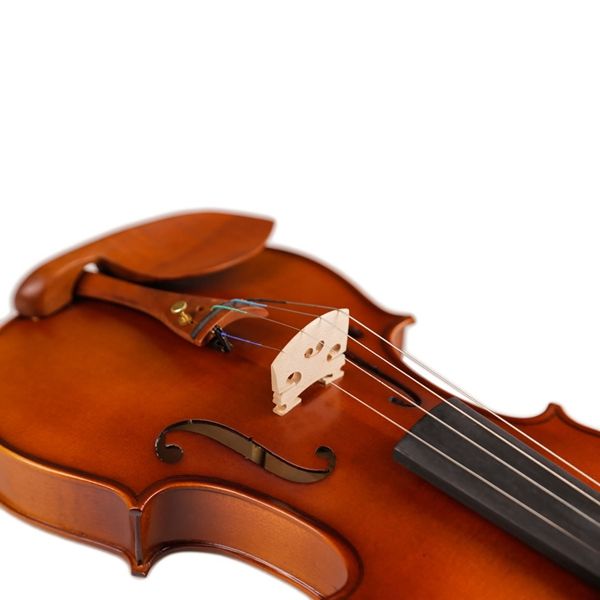 full size students beginner violin matte finish spruce face maple violin jujube parts with case bow
full size students beginner violin matte finish spruce face maple violin jujube parts with case bow