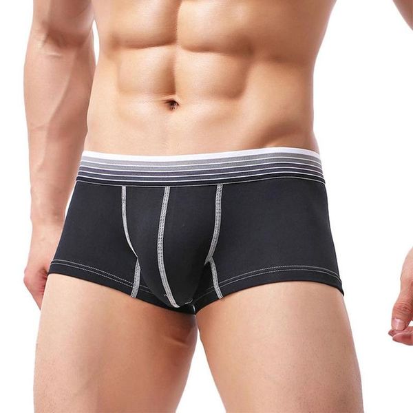 2019 new men underpants fashion comfortable soft cotton underpants simple mens boxer shorts underwear -xxl size 5 colors, Black;white
2019 new men underpants fashion comfortable soft cotton underpants simple mens boxer shorts underwear -xxl size 5 colors, Black;white