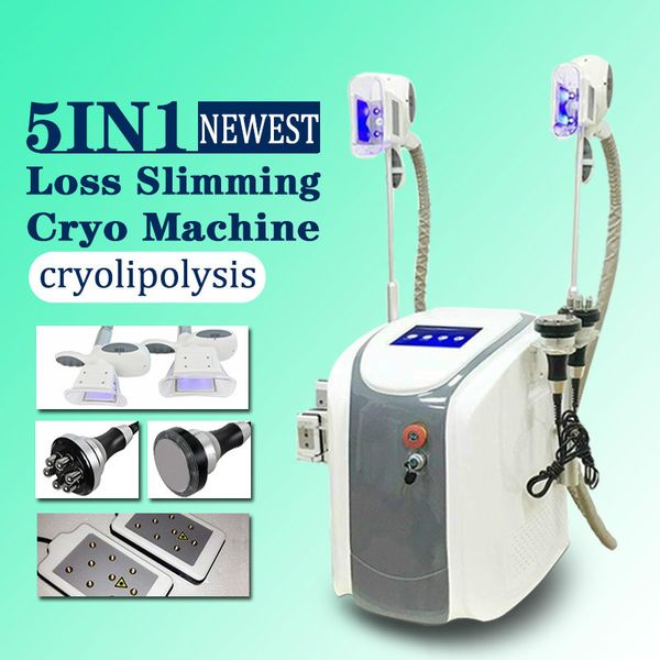 талия cryolipolysis уменьшая кавитацию rf машины лазера lipo тучная замерзая машина для похудения машина rf кавитации
талия cryolipolysis уменьшая кавитацию rf машины лазера lipo тучная замерзая машина для похудения машина rf кавитации
