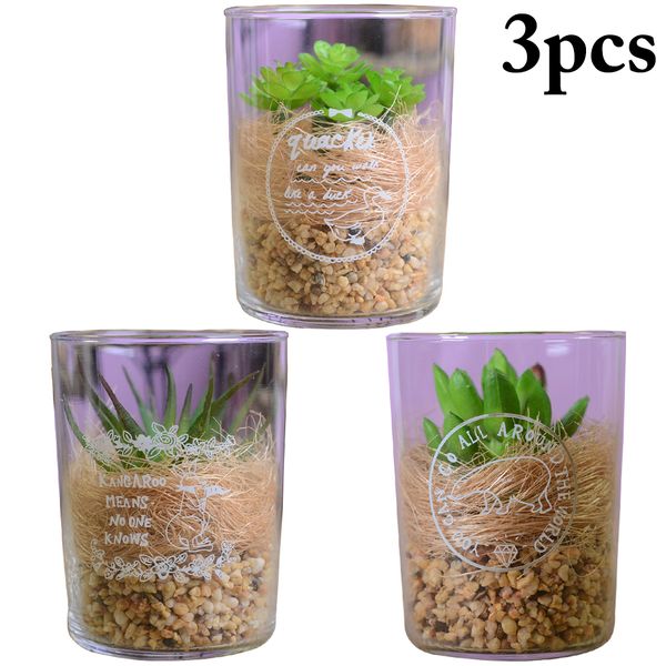 3pcs artificial succulent decorative artificial plant fake plant with glass for home decoration
3pcs artificial succulent decorative artificial plant fake plant with glass for home decoration