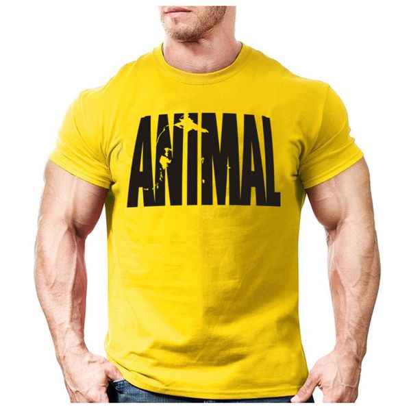animal print tracksuit t shirt muscle shirt trends in 2016 fitness cotton brand clothes for men bodybuilding tee large xxl, White;black
animal print tracksuit t shirt muscle shirt trends in 2016 fitness cotton brand clothes for men bodybuilding tee large xxl, White;black