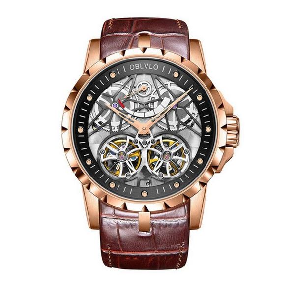 

men luxury watch,mens automatic mechanical watches oblvlo man fashion brand waterproof skeleton wristwatch sport relogio obl3609, Slivery;brown