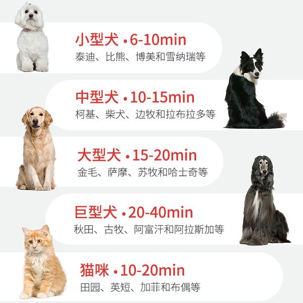 pet воды выдува собака фен выдува волос артефакт сушка большие собаки высокой мощности тихий blow dry special
pet воды выдува собака фен выдува волос артефакт сушка большие собаки высокой мощности тихий blow dry special