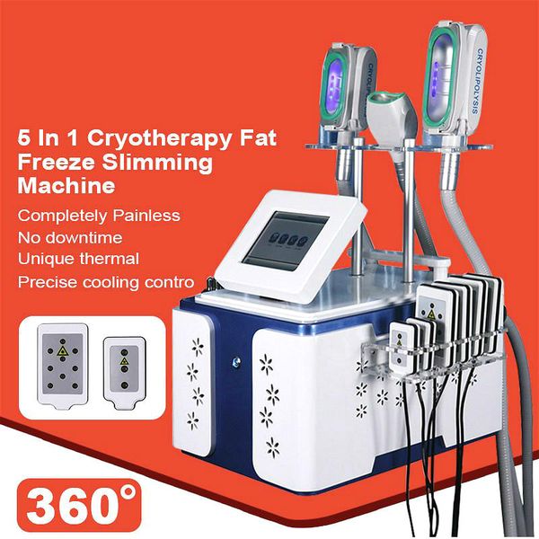 2020 best sell cryolipolysis machine 360 градусов контактное охлаждение cryolipolysis slimming fat freezing slimming ce / dhl бесплатная дос
2020 best sell cryolipolysis machine 360 градусов контактное охлаждение cryolipolysis slimming fat freezing slimming ce / dhl бесплатная дос