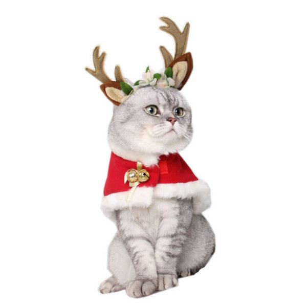 cute polar fleece princess cloak for cat small dogs christmas pet cat cape scottish foldable clothes cosplay costume
cute polar fleece princess cloak for cat small dogs christmas pet cat cape scottish foldable clothes cosplay costume