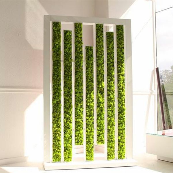 artificial plant eternal life moss diy flower material for mini garden micro landscape home wall decor 20g/pack 9colors choice
artificial plant eternal life moss diy flower material for mini garden micro landscape home wall decor 20g/pack 9colors choice