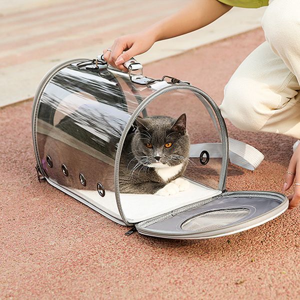 breathable summer transparent tote out-of-port portable pet cat and dog bag folding cat cage pet out bag dog backpack
breathable summer transparent tote out-of-port portable pet cat and dog bag folding cat cage pet out bag dog backpack