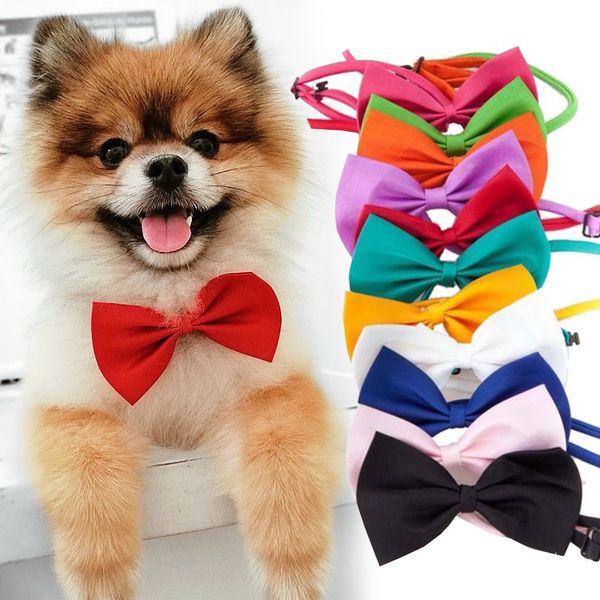 

Много цветов Pet галстук собака галстук воротник цветочные аксессуары украшения поставки чистый цвет бантом галстук собака галстук бабочка