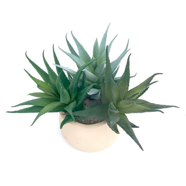 new 2019 simulations mini succulents plastic fake green artificial plants home bedroom lobby table decorations
new 2019 simulations mini succulents plastic fake green artificial plants home bedroom lobby table decorations