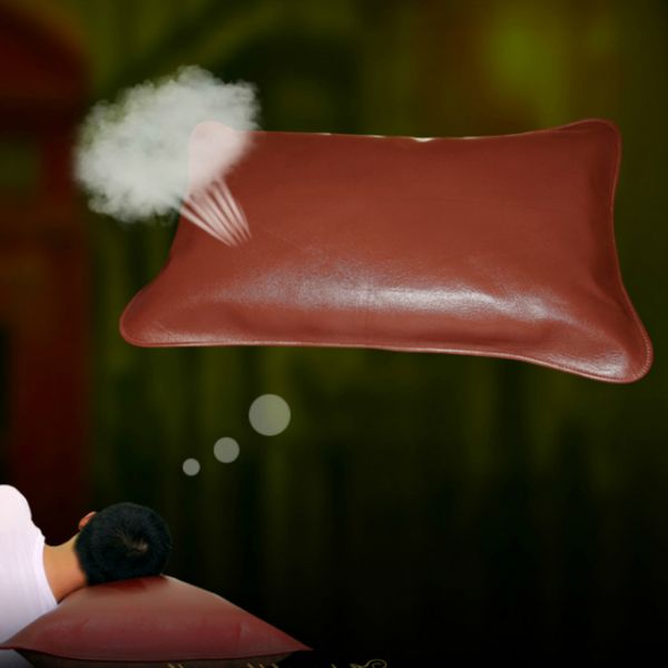 genuine leather pillow case luxury pillowcase durable first layer cowhide breathable vintage decent gift dropshipping 2019
genuine leather pillow case luxury pillowcase durable first layer cowhide breathable vintage decent gift dropshipping 2019