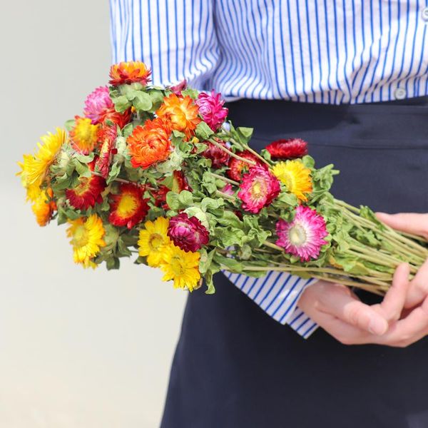 beautiful dried straw chrysanthemum daisy dried natural sunflower diy decoration for home ,wedding
beautiful dried straw chrysanthemum daisy dried natural sunflower diy decoration for home ,wedding