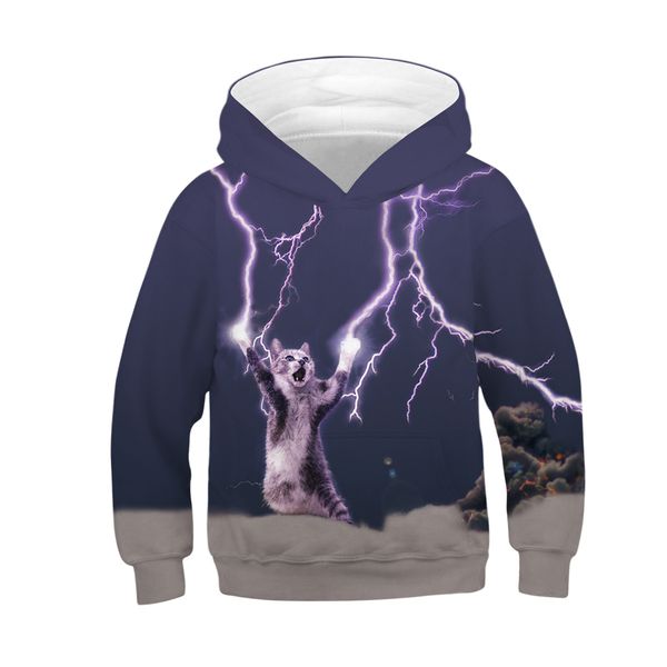 3d glaxy cat digital printing hooded children's long-sleeved sweater sweatshirts cosplay masked jacket, Blue;gray
3d glaxy cat digital printing hooded children's long-sleeved sweater sweatshirts cosplay masked jacket, Blue;gray