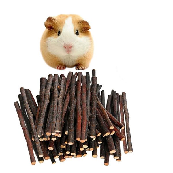 amazon guinea pigs squirrel totoro snacks pets a molar tooth apple branch 50g parrot a molar tooth fruit tree
amazon guinea pigs squirrel totoro snacks pets a molar tooth apple branch 50g parrot a molar tooth fruit tree