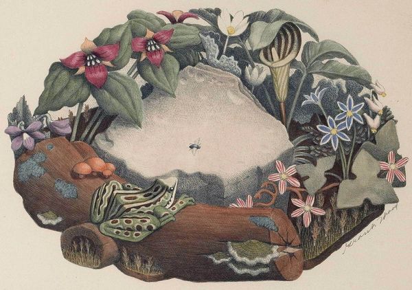 grant wood wildflowers poster home decor handpainted &hd print oil painting on canvas wall art canvas pictures a322
grant wood wildflowers poster home decor handpainted &hd print oil painting on canvas wall art canvas pictures a322