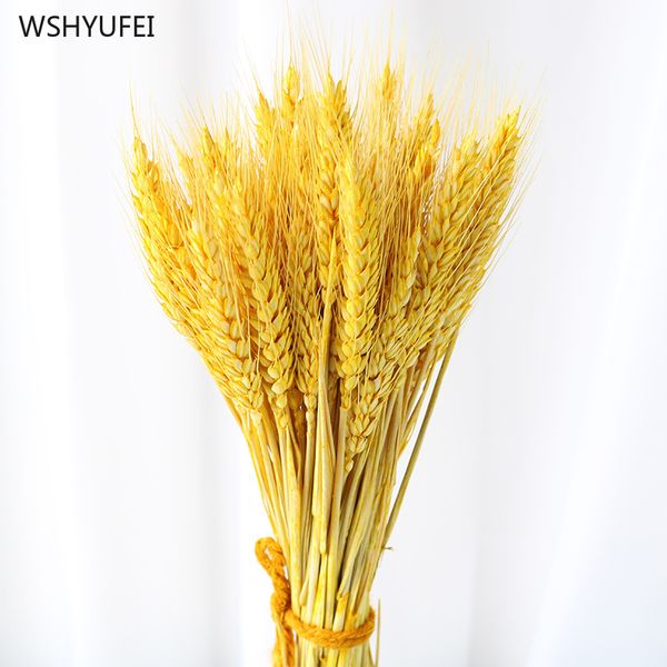 100pcs dried flowers natural air dried wheat ears wheat farmhouse style home decoration vase decoration farmhouse
100pcs dried flowers natural air dried wheat ears wheat farmhouse style home decoration vase decoration farmhouse