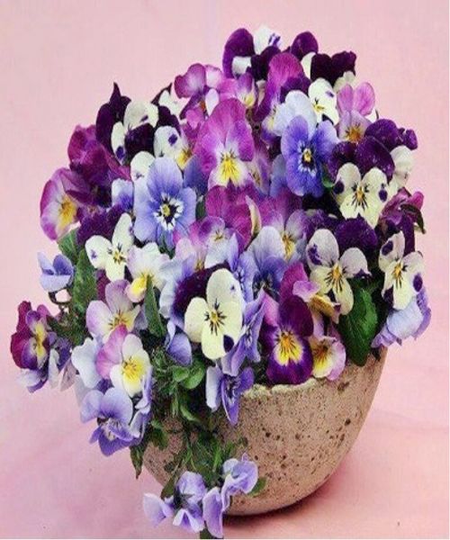 full square/round drill 5d diy diamond painting "flower" embroidery cross stitch mosaic home decor art experience toys gift a0409
full square/round drill 5d diy diamond painting "flower" embroidery cross stitch mosaic home decor art experience toys gift a0409