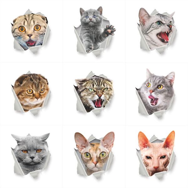 smashed cat bathroom wall sticker toilet seat decal washrom remind refrigerator decoration animal decals art sticker wall poster
smashed cat bathroom wall sticker toilet seat decal washrom remind refrigerator decoration animal decals art sticker wall poster